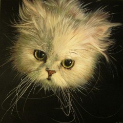 Kedi Zihni, 100 x 100 Tuval Üzerine Yağlı Boya (Satılmıştır)